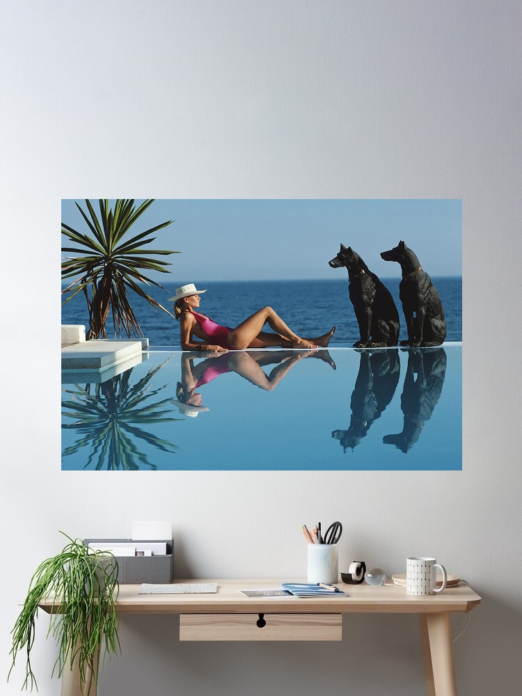 Retro Poolside Host Luxury Lif - Luxury Lifestyle Homes recensione e prezzo